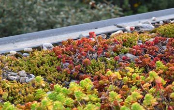 the cost of Mavis Enderby green roof installation